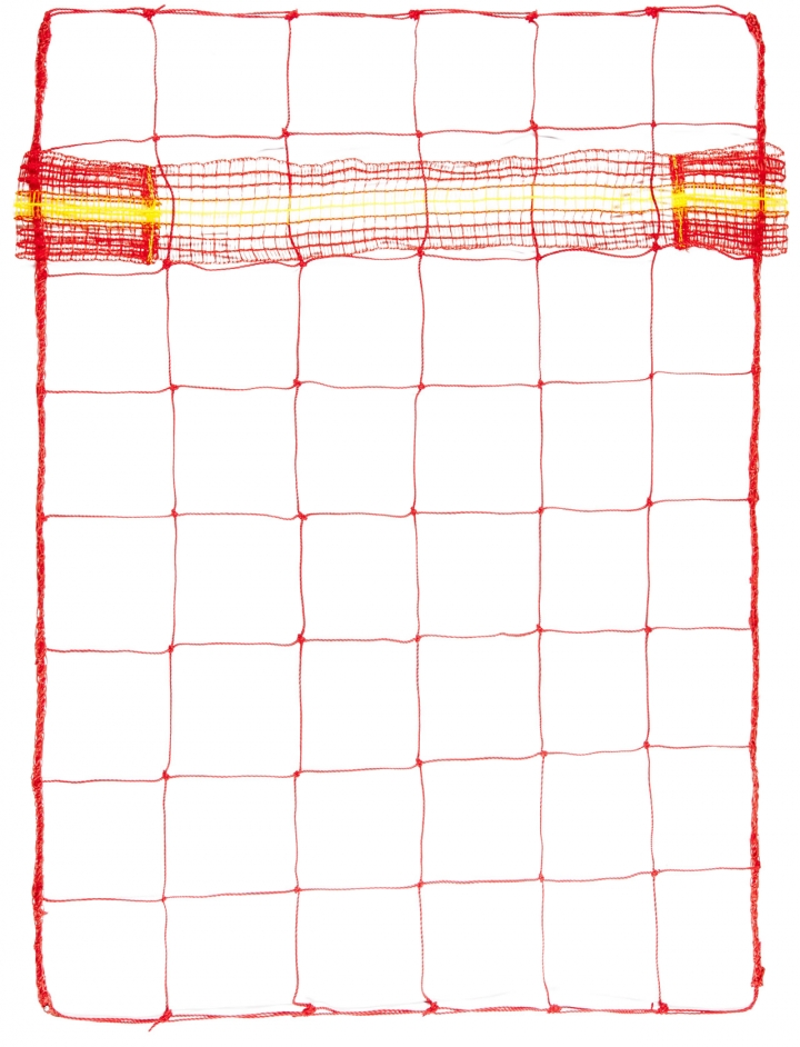 Rete di delimitazione (con strip)