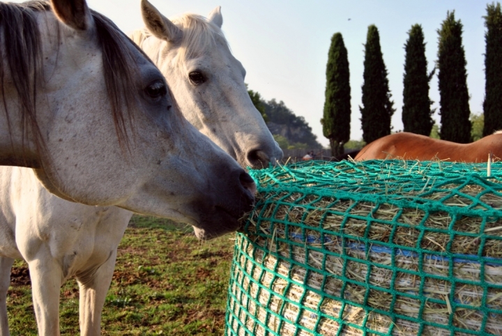 Rete antispreco per rotoballe